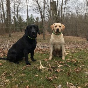 Meet your Posher, Ethan